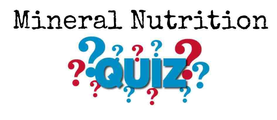 Mineral Nutrition Quiz