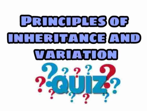 Principles of Inheritance and Variation Quiz