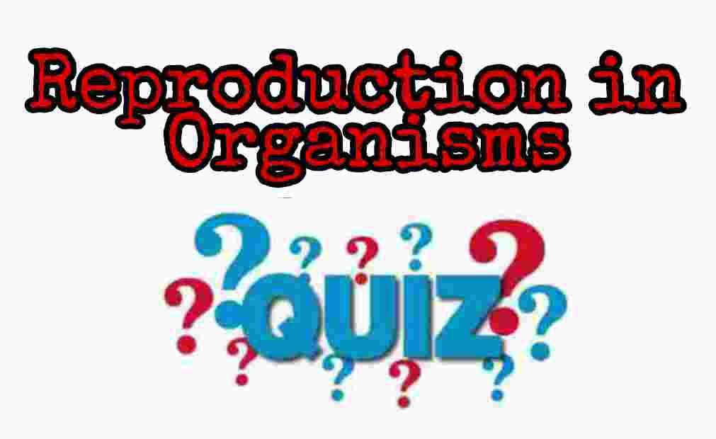 Reproduction in Organisms Quiz