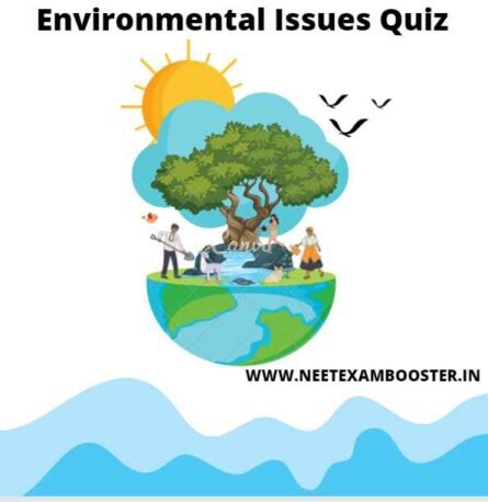 Environmental Issues Quiz