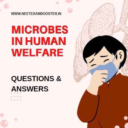 Microbes In Human Welfare Class 12