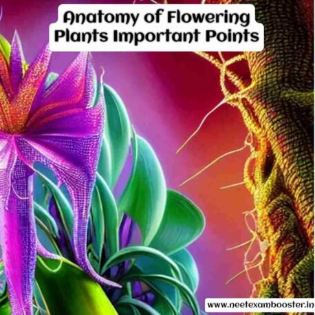 Anatomy of Flowering Plants Important Points