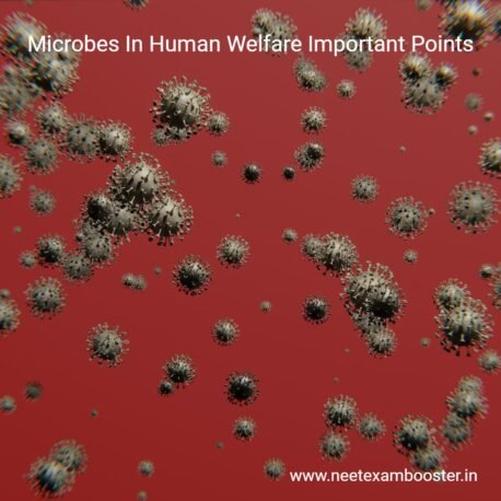 Microbes in human welfare important points