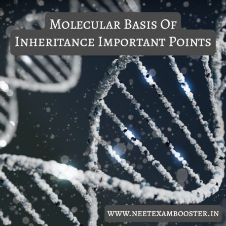 Molecular basis of inheritance important points