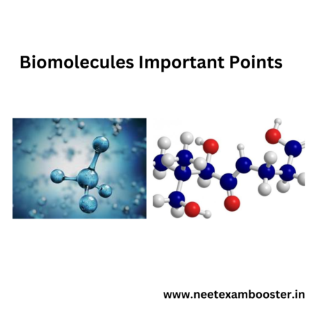 Biomolecules important points
