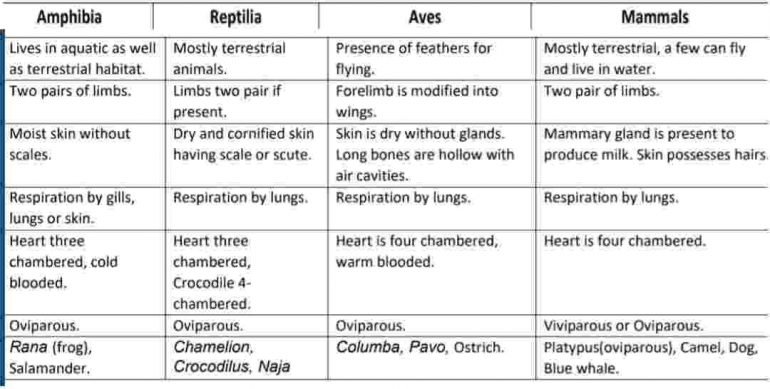 Animal Kingdom Notes for NEET Class 11 - important short notes - NEET