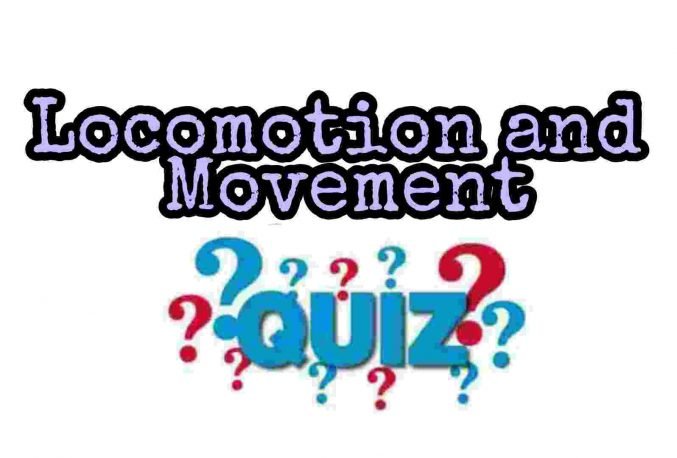 Locomotion and Movement Quiz For NEET – Class 11 Chapter 20 Biology Important Questions MCQ