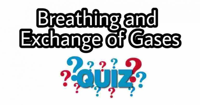 Breathing and Exchange of Gases Quiz For NEET – Class 11 Chapter 17 Biology Important Questions MCQ