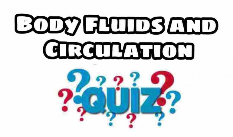 Body Fluids and Circulation Quiz For NEET – Class 11 Chapter 18 Biology Important Questions MCQ