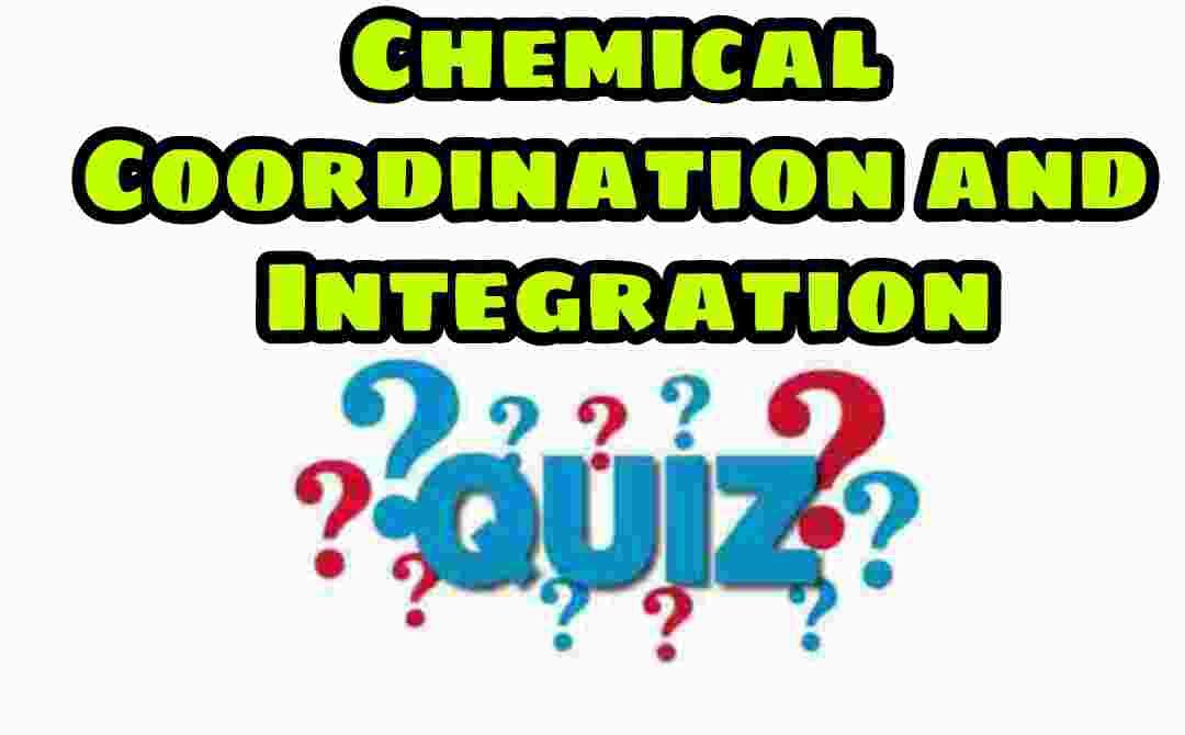 Chemical Coordination and Integration Quiz For NEET – Class 11 Chapter 21 Biology Important Questions MCQ