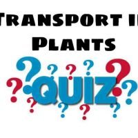 Transport in Plants Quiz For NEET – Class 11 Chapter 11 Biology Important Questions MCQ