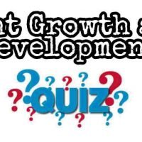 Plant Growth and Development Quiz For NEET – Class 11 Chapter 15 Biology Important Questions MCQ