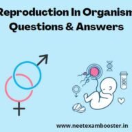 Reproduction in Organism Class 12