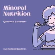  Mineral Nutrition Class 11