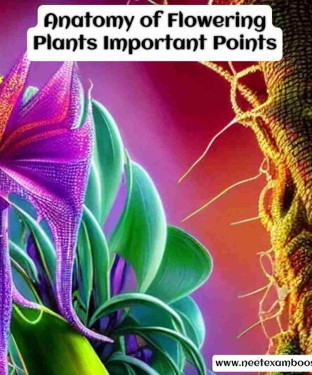 Anatomy of Flowering Plants Important Points