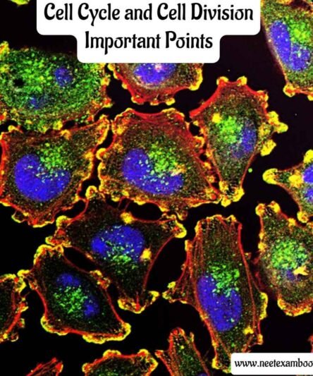 Cell Cycle and Cell Division Important Points