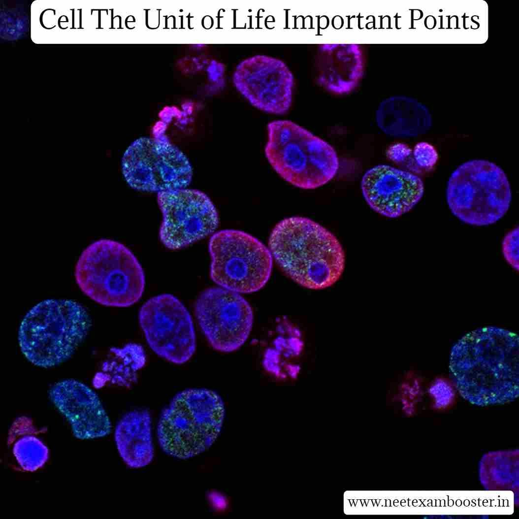 Cell The Unit of Life Important Points
