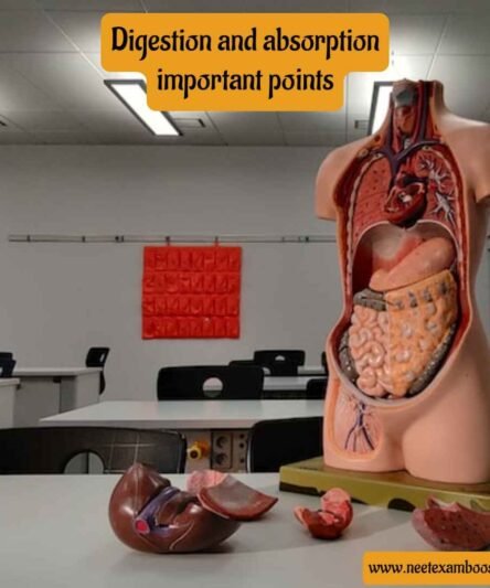 Digestion and Absorption Important points