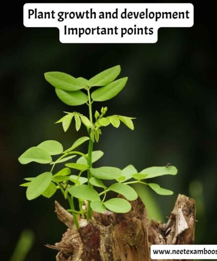 Plant growth and development Important points