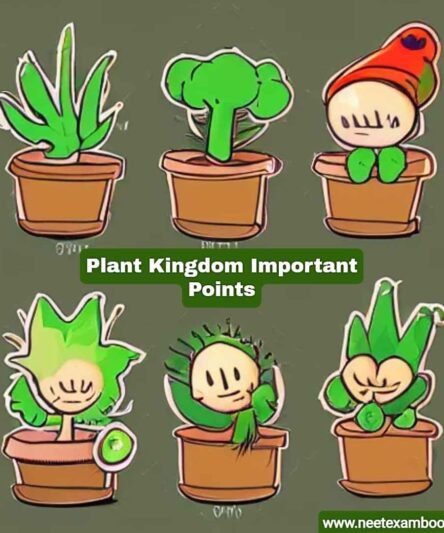 Plant kingdom Important Points