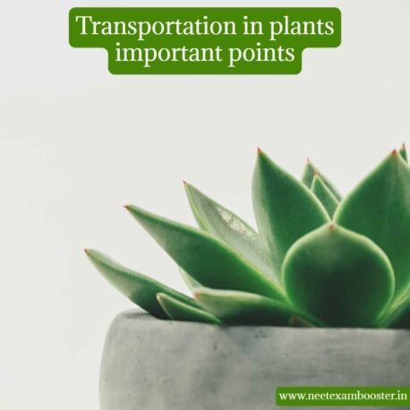 Transportation in plants important points