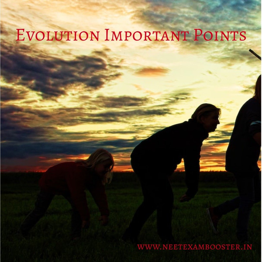 Evolution important points For NEET