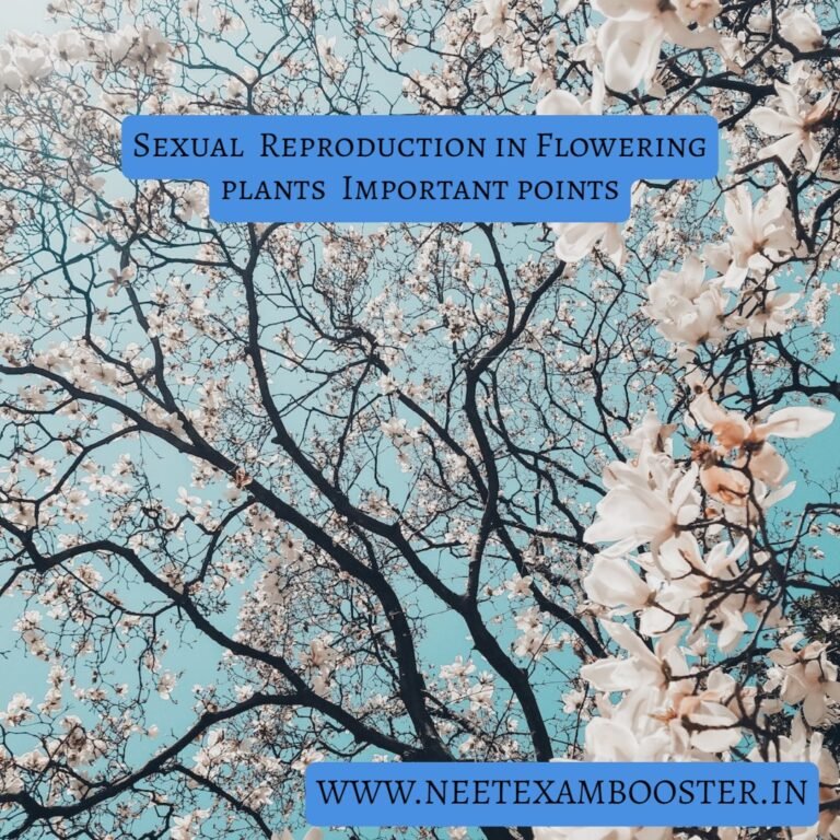 Sexual Reproduction In Flowering Plants Important Points For Neet 9500