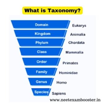 Taxonomy