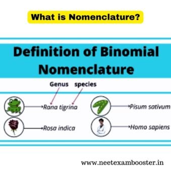 Nomenclature