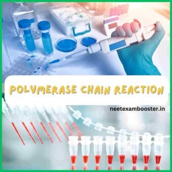 Polymerase Chain Reaction